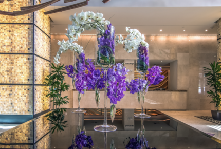 Carillon Hotel & Spa - Miami Beach, Florida