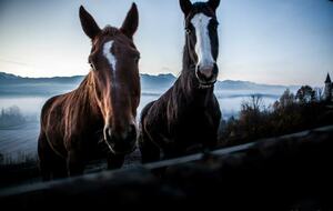 Chateau St. Philippe - Saint Jean de la Porte, France