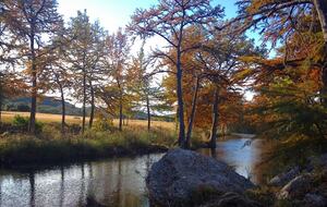 Frio D Ranch - Leakey, Texas