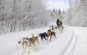 Lakefront Designer Home - St-Donat, Canada