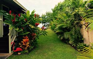 Northshore Beach Cottage - Waialua, Oahu, Hawaii