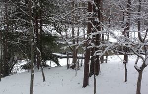 Make a Splash- Lakefront Cabin - Blue Ridge, Georgia