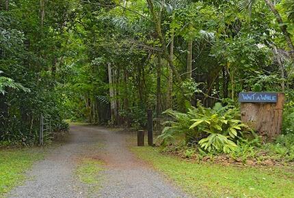 Wait A While Daintree - Daintree, Australia