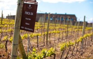 Auberge du Vin - Mendoza, Argentina