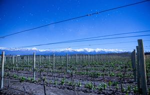 Auberge du Vin - Mendoza, Argentina