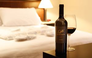 Auberge du Vin - Mendoza, Argentina