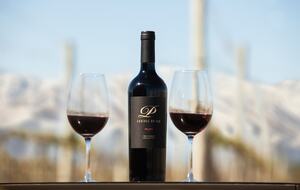 Auberge du Vin - Mendoza, Argentina