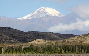 Auberge du Vin - Mendoza, Argentina