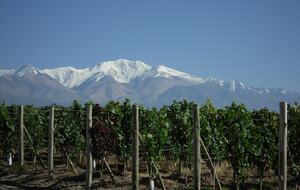 Auberge du Vin - Mendoza, Argentina