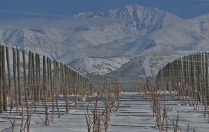 Auberge du Vin - Mendoza, Argentina