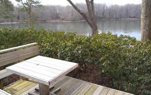 Chesapeake Bay Treehouse - Edgewater, Maryland