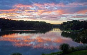 Chesapeake Bay Treehouse - Edgewater, Maryland