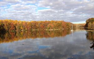 Chesapeake Bay Treehouse - Edgewater, Maryland