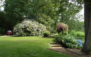 Chesapeake Bay Treehouse - Edgewater, Maryland