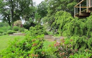 Chesapeake Bay Treehouse - Edgewater, Maryland