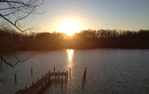 Chesapeake Bay Treehouse - Edgewater, Maryland