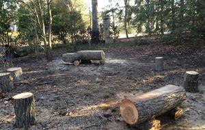 Chesapeake Bay Treehouse - Edgewater, Maryland