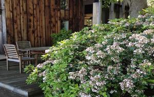 Chesapeake Bay Treehouse - Edgewater, Maryland