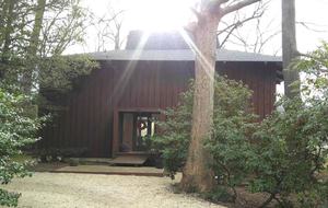 Chesapeake Bay Treehouse - Edgewater, Maryland