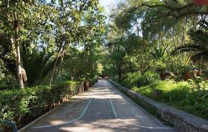 Casa Mia Sunshine - San Miguel de Allende, Mexico