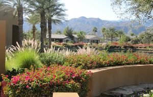 Community Center Area