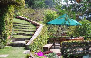 LOWER OUTDOOR DINING