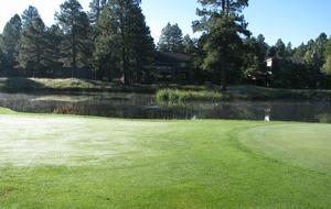 SKI OR GOLF IN THE MAGICAL FOREST - Flagstaff, Arizona