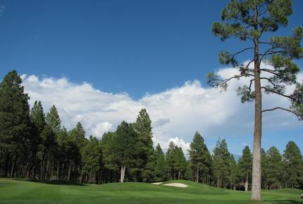SKI OR GOLF IN THE MAGICAL FOREST