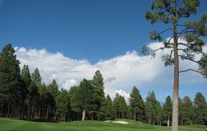 SKI OR GOLF IN THE MAGICAL FOREST - Flagstaff, Arizona