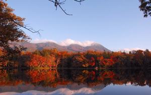 Niseko Snow Chalet - Hirafu Village Niseko, Japan