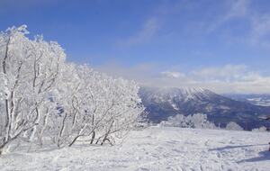 Niseko Snow Chalet - Hirafu Village Niseko, Japan