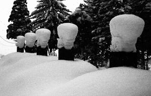 Niseko Snow Chalet - Hirafu Village Niseko, Japan