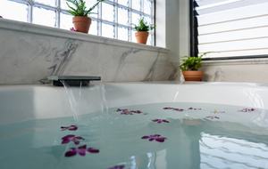 Big Island Hawaiian Paradise - Kailua-Kona, Big Island, Hawaii