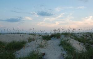 Life on the Sea - Bald Head, North Carolina