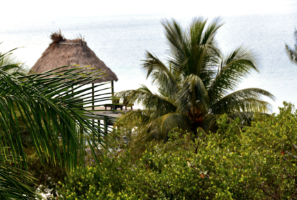 Coco Plum Villa - Placencia, Belize