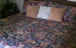 SKI OR GOLF IN THE MAGICAL FOREST - Flagstaff, Arizona