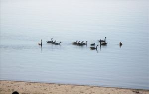 Luxury Home on the Sunny Shores of Lake Erie - PORT COLBORNE, Canada