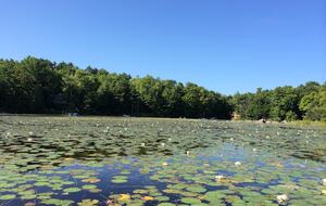 Contemporary Berkshires Retreat - Stockbridge, Massachusetts