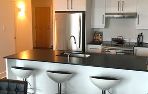 Les Terrasses du Plateau Luxury Penthouse Condo - Quebec, Canada