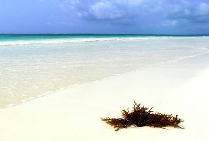 Villa Turquoise - Zanzibar, Tanzania, United Republic of