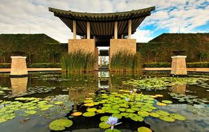 Banyan Tree Bliss, Mayakoba - Playa del Carmen, Mexico