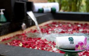 Banyan Tree Bliss, Mayakoba - Playa del Carmen, Mexico