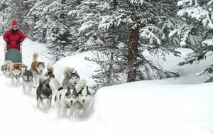 Romantic Victorian in Breckenridge - Breckenridge, Colorado