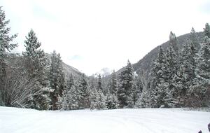 Romantic Victorian in Breckenridge - Breckenridge, Colorado