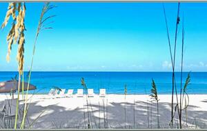 The Dunes - Awesome View & Resort Style Vacation - Naples, Florida