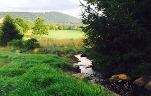 Walnut Cove Townhome - Arden, North Carolina