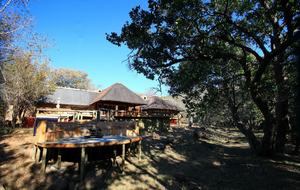 Welgevonden Game Reserve, South Africa