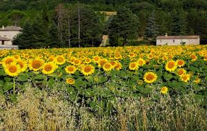 Villa Cavagnetti - Pietralunga, Italy