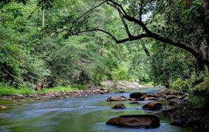 Creek Front Mountain Retreat - Hayesville, North Carolina
