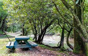 Creek Front Mountain Retreat - Hayesville, North Carolina